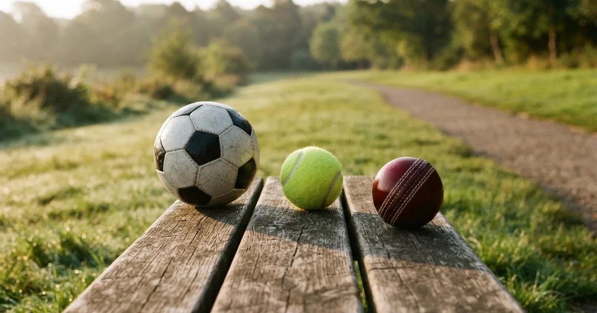 Three balls of different kinds side by side on a wooden bench