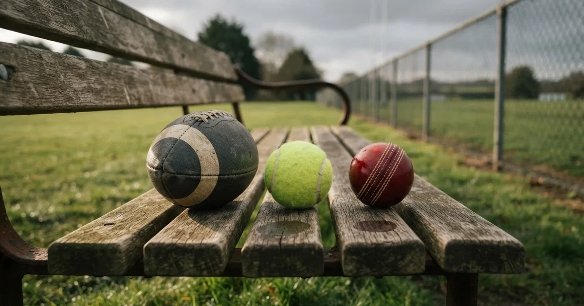 Three balls of different kinds side by side on a wooden bench